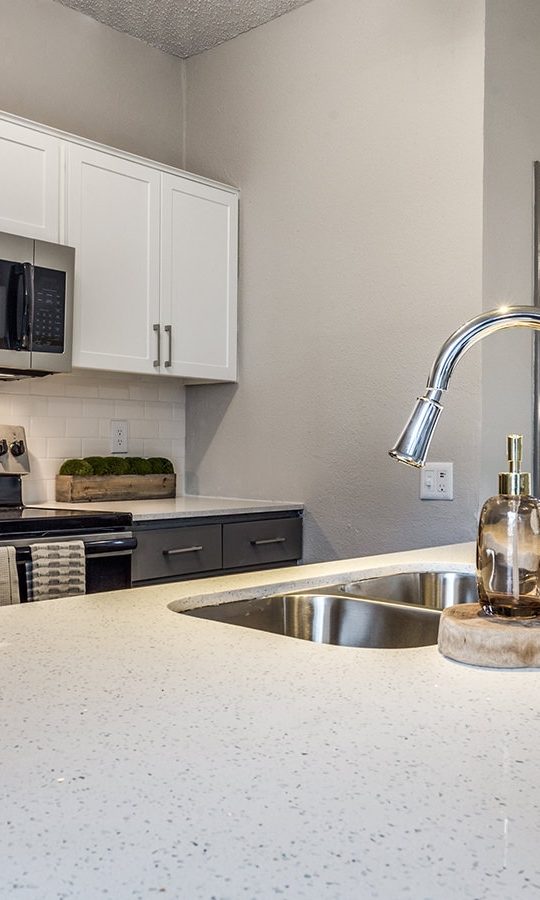 a kitchen with stainless steel appliances and a sink at The Hyde Park at Valley Ranch